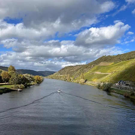 호텔 Krone Riesling 트리텐하임