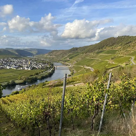 Hotel Krone Riesling