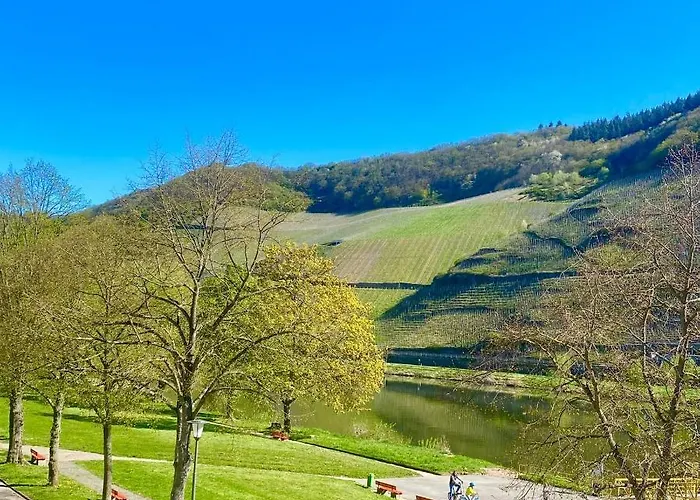 Hotel Krone Riesling 3*