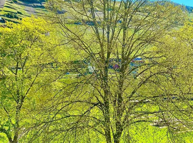 Krone Riesling 3* Trittenheim