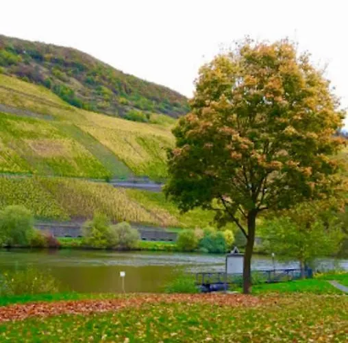 Krone Riesling Hotel